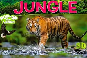 Jungle - In the Woods POP UP