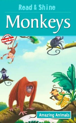 MONKEYS