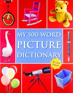 MY 500 WORD PICTURE DICTIONARY