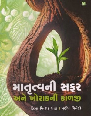 MATRUTVANI SAFAR ANE KHORAKNI KALJI